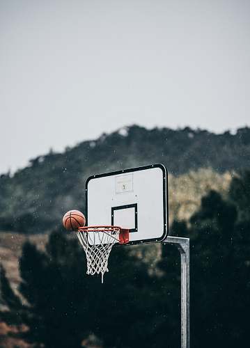 new zealand white basketball system hoop